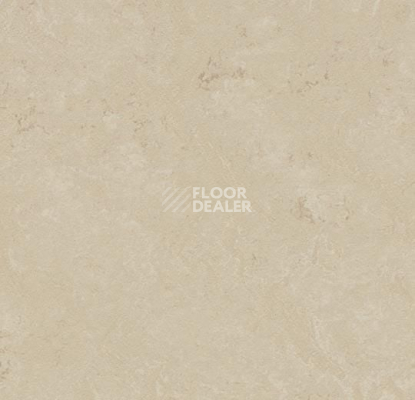 Кварцвиниловые полы Forbo Marmoleum Modular t3711 cloudy sand фото 1 | FLOORDEALER